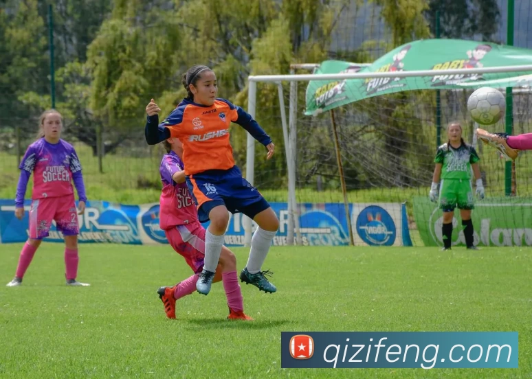 华体会手机网页版平台生态图